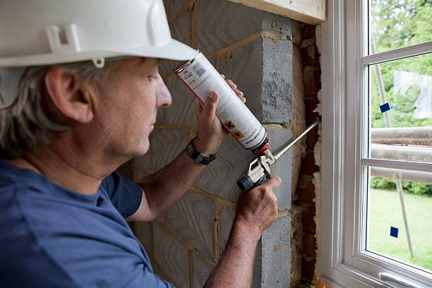 Best Insulation Maintenance and Repair in Forest, VA