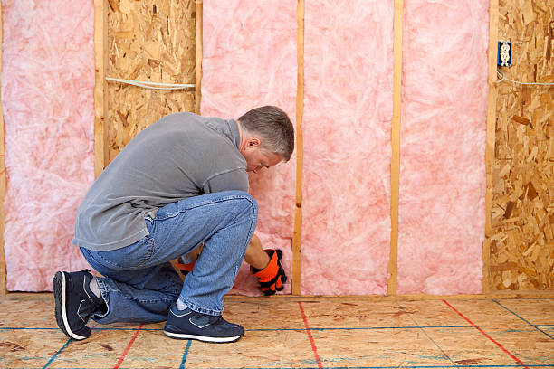 Best Insulation Maintenance and Repair in Forest, VA